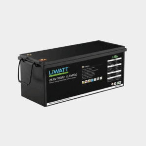 Liwatt Lithium-ion LiFePO₄ 25.6V 100Ah IPS / UPS Battery